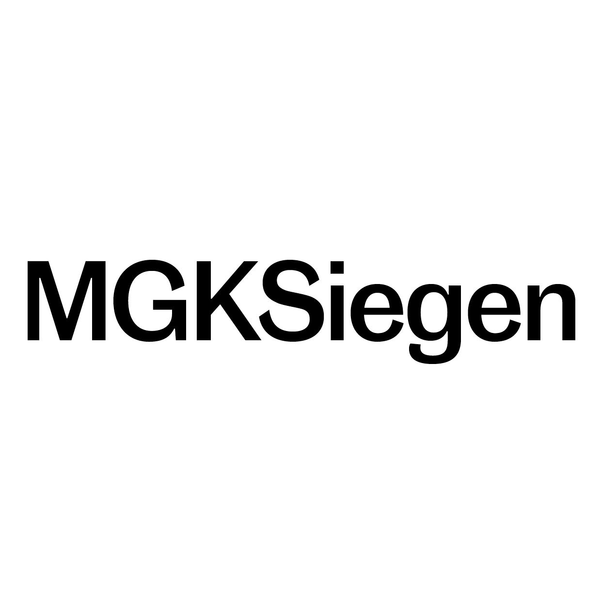 Museum für Gegenwartskunst Siegen