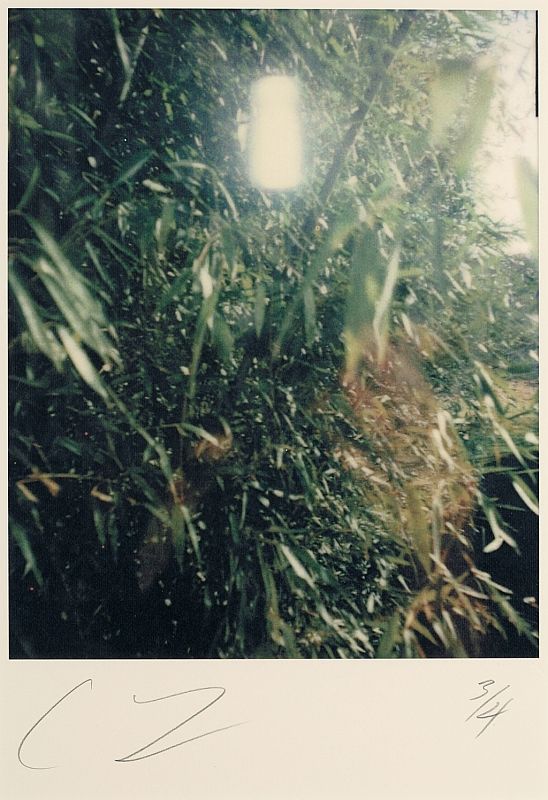 Untitled (North Carolina)
