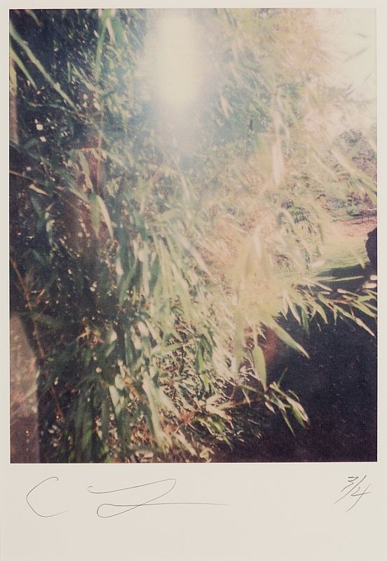 Untitled (North Carolina)