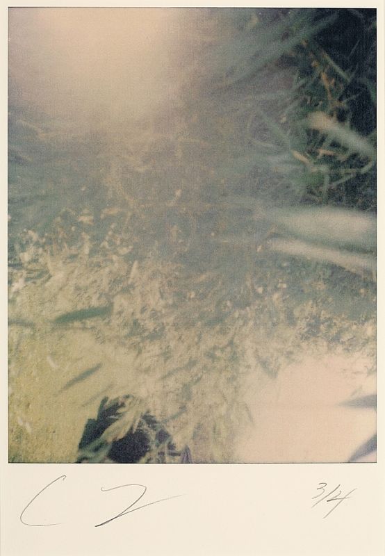 Untitled (North Carolina)