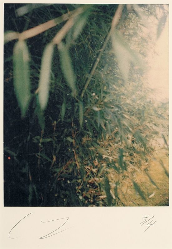 Untitled (North Carolina)
