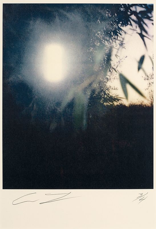 Untitled (North Carolina)