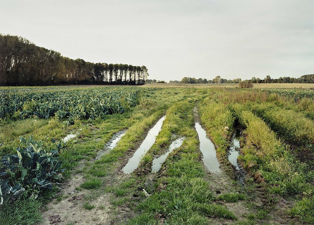 Landschaft und Gartenstücke