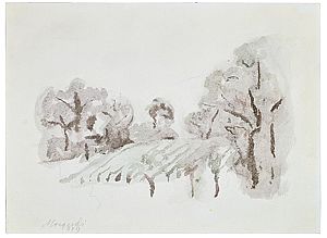 Paesaggio