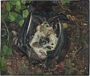 Another Dead Bat