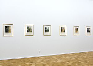 Untitled (North Carolina)