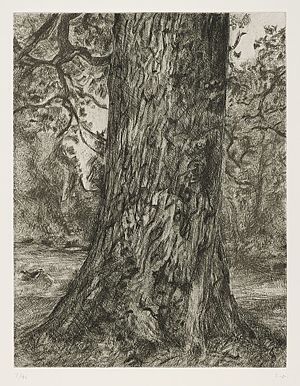 After Constable's Elm