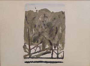 Paesaggio