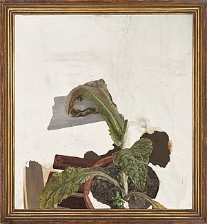 Plant Fragment